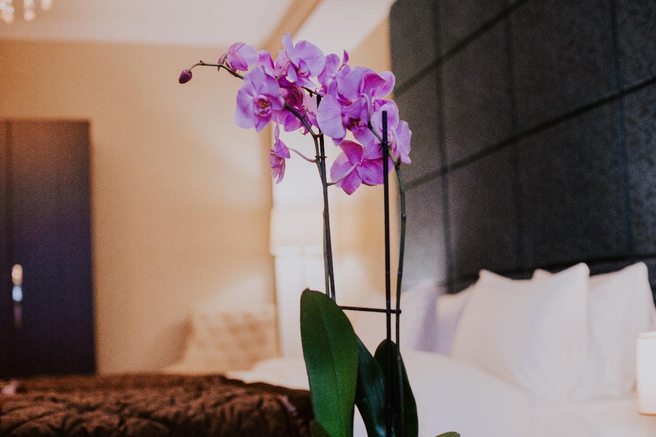 Viva Boutique Hotel บากู ภายนอก รูปภาพ